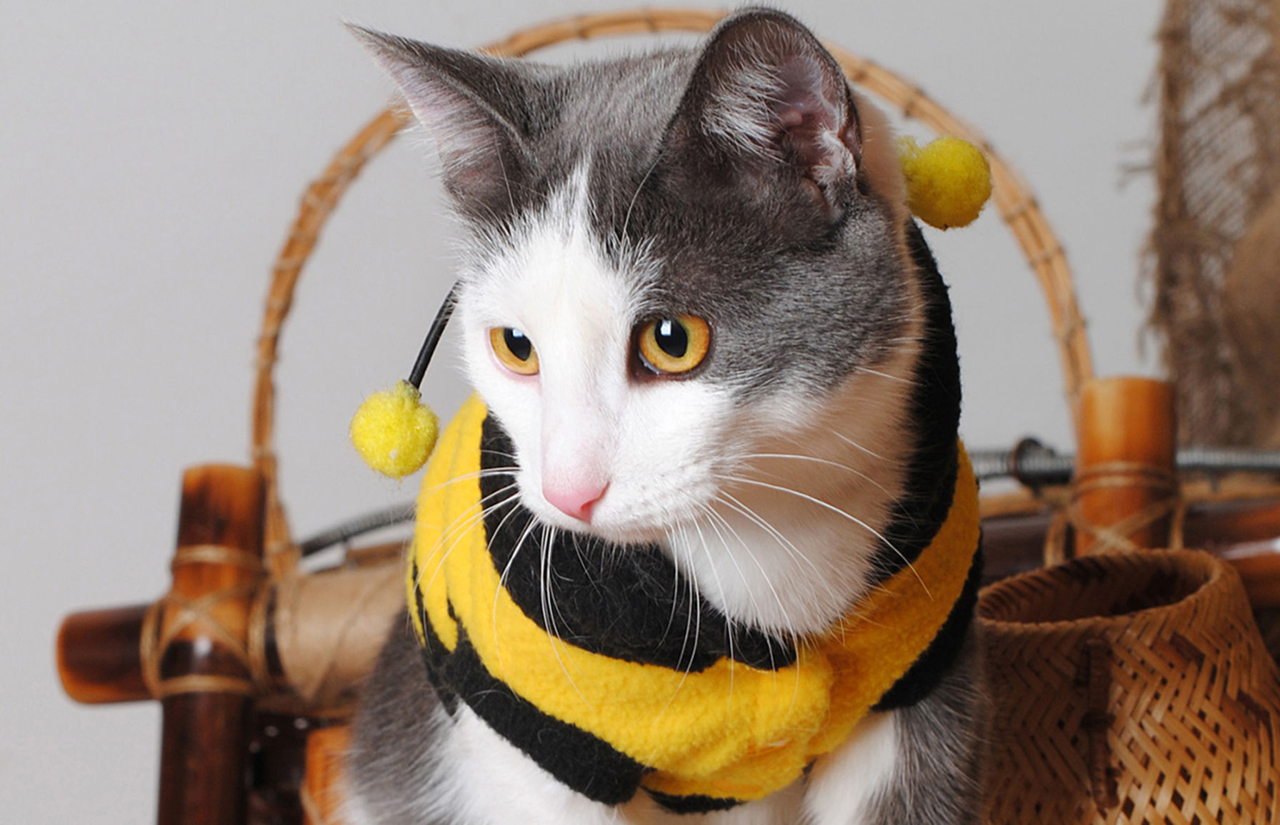 3. Bumblebee